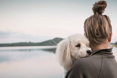 Musti_Group_image 2 625x417-1